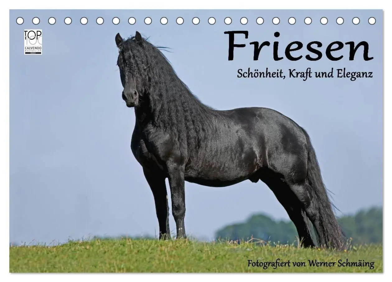 Friesen - Schönheit, Kraft und Eleganz (Tischkalender 2027 DIN A5 quer), CALVENDO Monatskalender