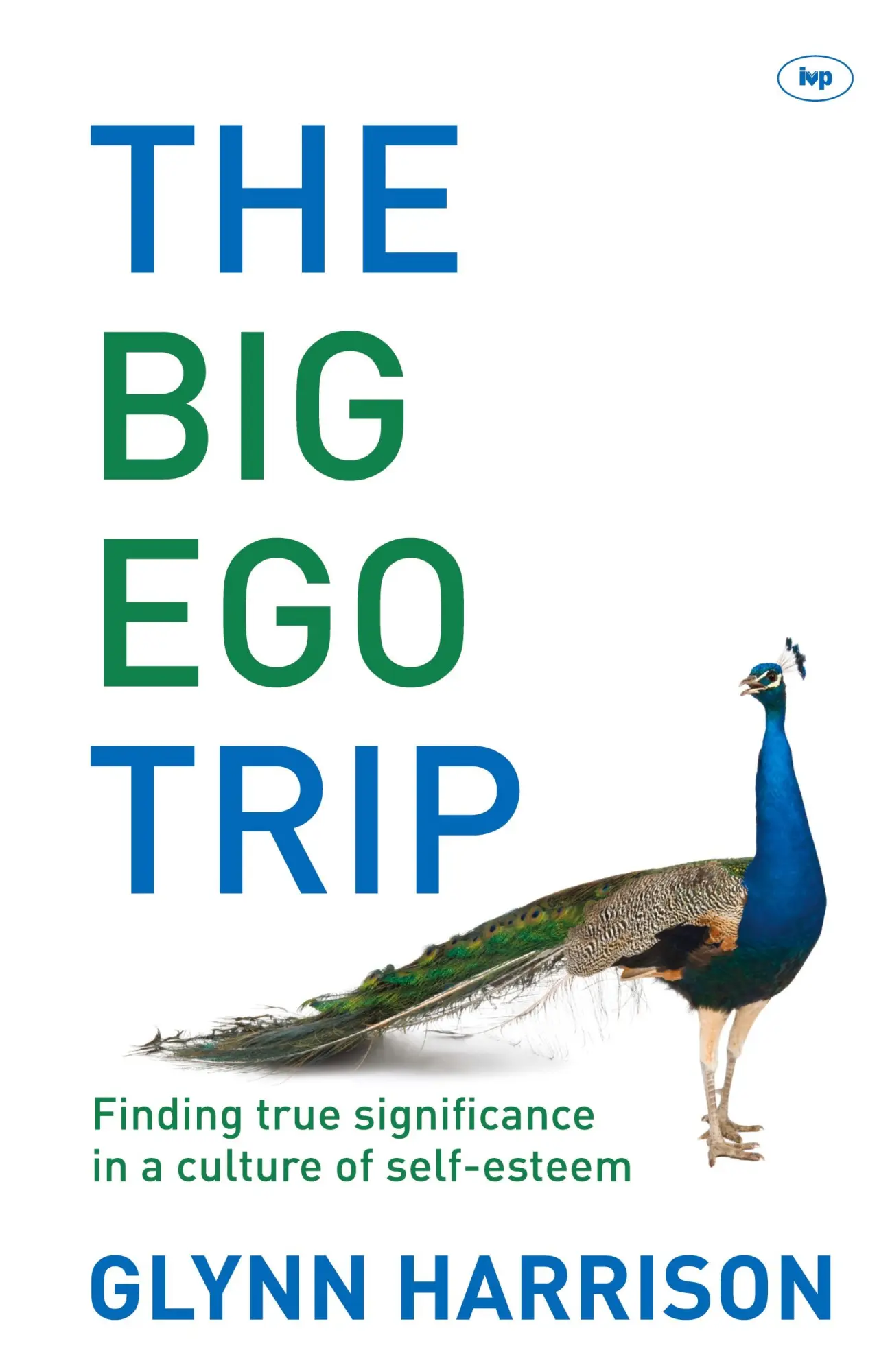 Cover: 9781844746200 | The Big Ego Trip | Glynn Harrison | Taschenbuch | Englisch | 2013