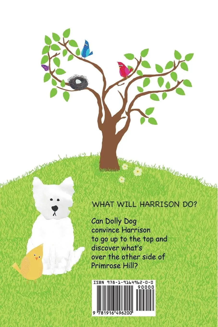 Rückseite: 9781916496200 | Harrison Braves The Hill | Aruna Khanzada | Taschenbuch | Englisch