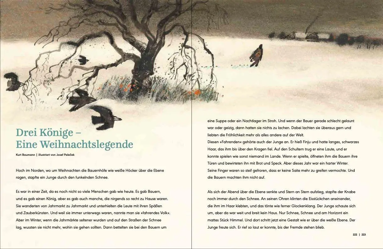 Bild: 9783314106200 | Die BilderBuchBande feiert Weihnachten | Schneider | Buch | 244 S.