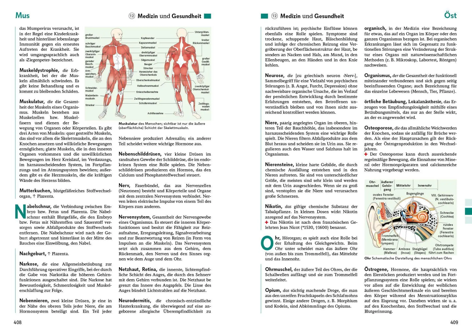 Bild: 9783411056200 | Das große Buch der Allgemeinbildung. Grundwissen von A bis Z....