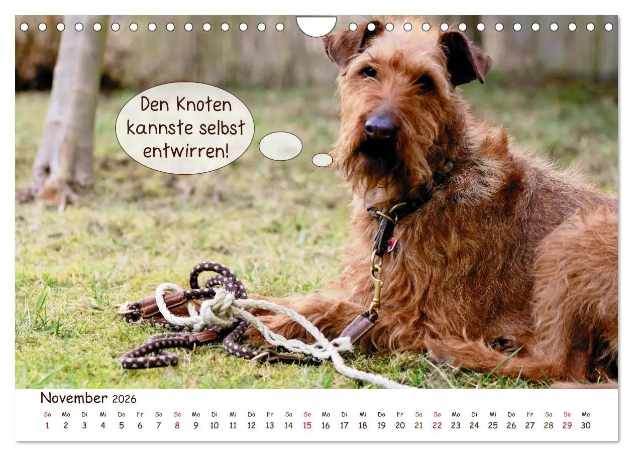 Bild: 9783457836200 | Frei Schnauze 2026. Was Hunde am liebsten sagen würden...