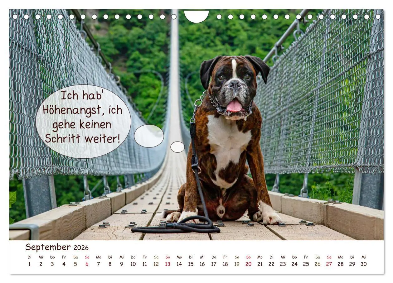 Bild: 9783457836200 | Frei Schnauze 2026. Was Hunde am liebsten sagen würden...