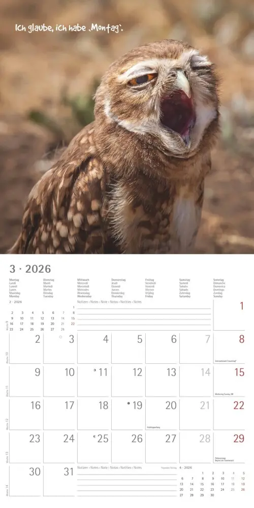Bild: 4069095006300 | Alpha Edition - Funny Animals 2026 - Wandkalender 30×30 cm (30×60...