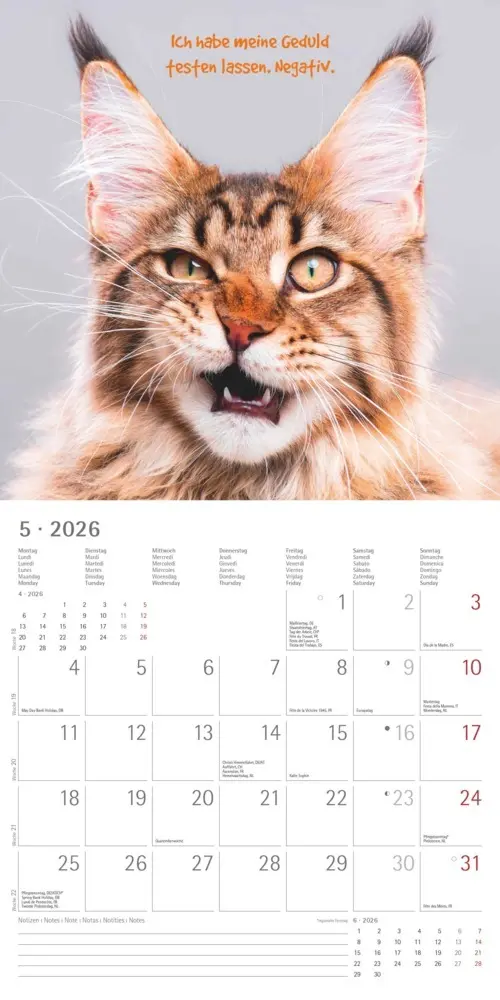 Bild: 4069095006300 | Alpha Edition - Funny Animals 2026 - Wandkalender 30×30 cm (30×60...