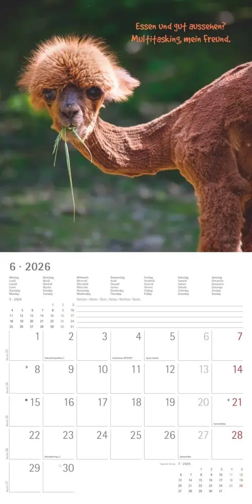 Bild: 4069095006300 | Alpha Edition - Funny Animals 2026 - Wandkalender 30×30 cm (30×60...