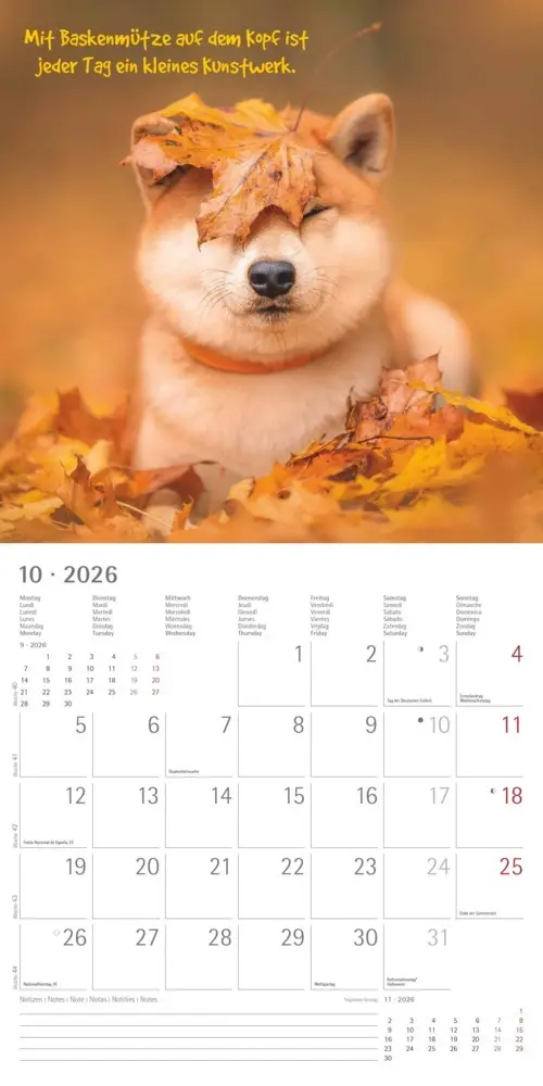Bild: 4069095006300 | Alpha Edition - Funny Animals 2026 - Wandkalender 30×30 cm (30×60...
