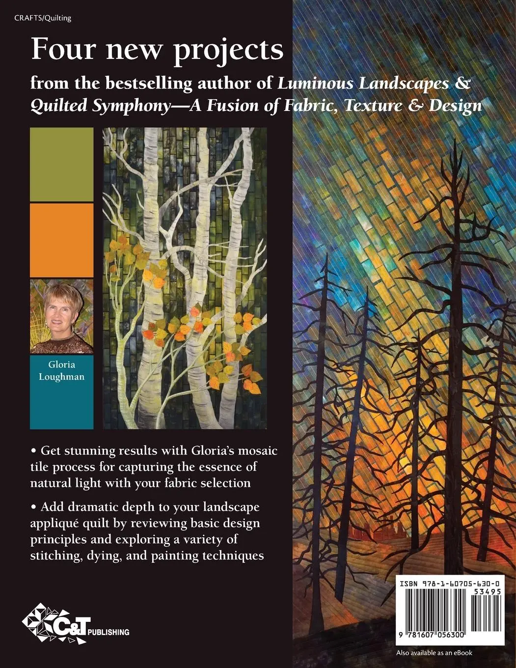 Rückseite: 9781607056300 | Radiant Landscapes - Print-On-Demand Edition | Gloria Loughman | Buch