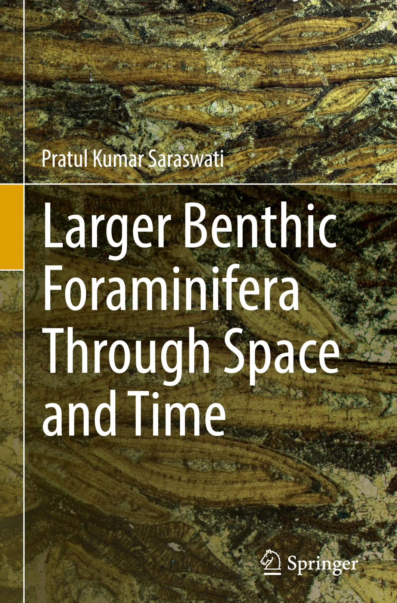 Cover: 9783031576300 | Larger Benthic Foraminifera Through Space and Time | Saraswati | Buch