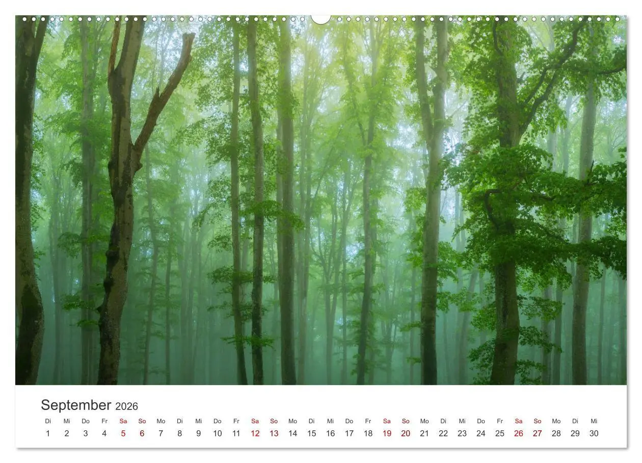 Bild: 9783457446300 | Schwäbische Alb neu erleben (Wandkalender 2026 DIN A2 quer),...