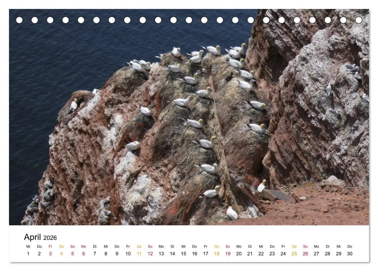 Bild: 9783457756300 | Helgoland Kalender (Tischkalender 2026 DIN A5 quer), CALVENDO...