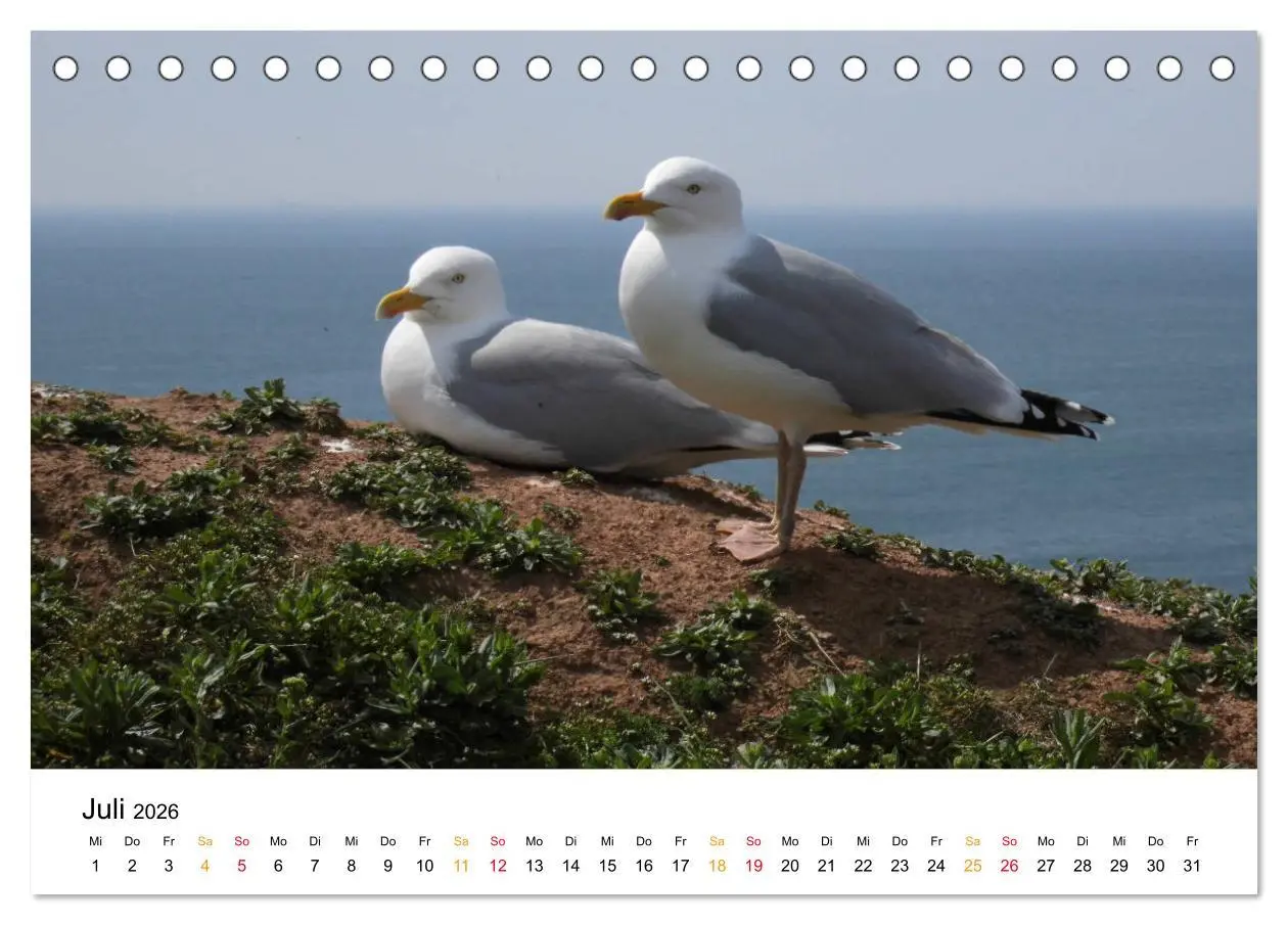 Bild: 9783457756300 | Helgoland Kalender (Tischkalender 2026 DIN A5 quer), CALVENDO...