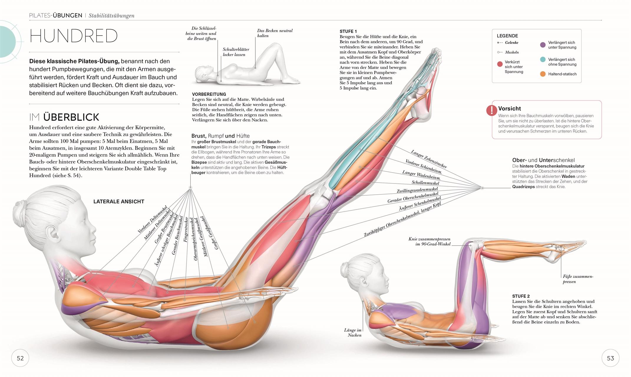 Bild: 9783831046300 | Pilates - Die Anatomie verstehen | Tracy Ward | Taschenbuch | 224 S.