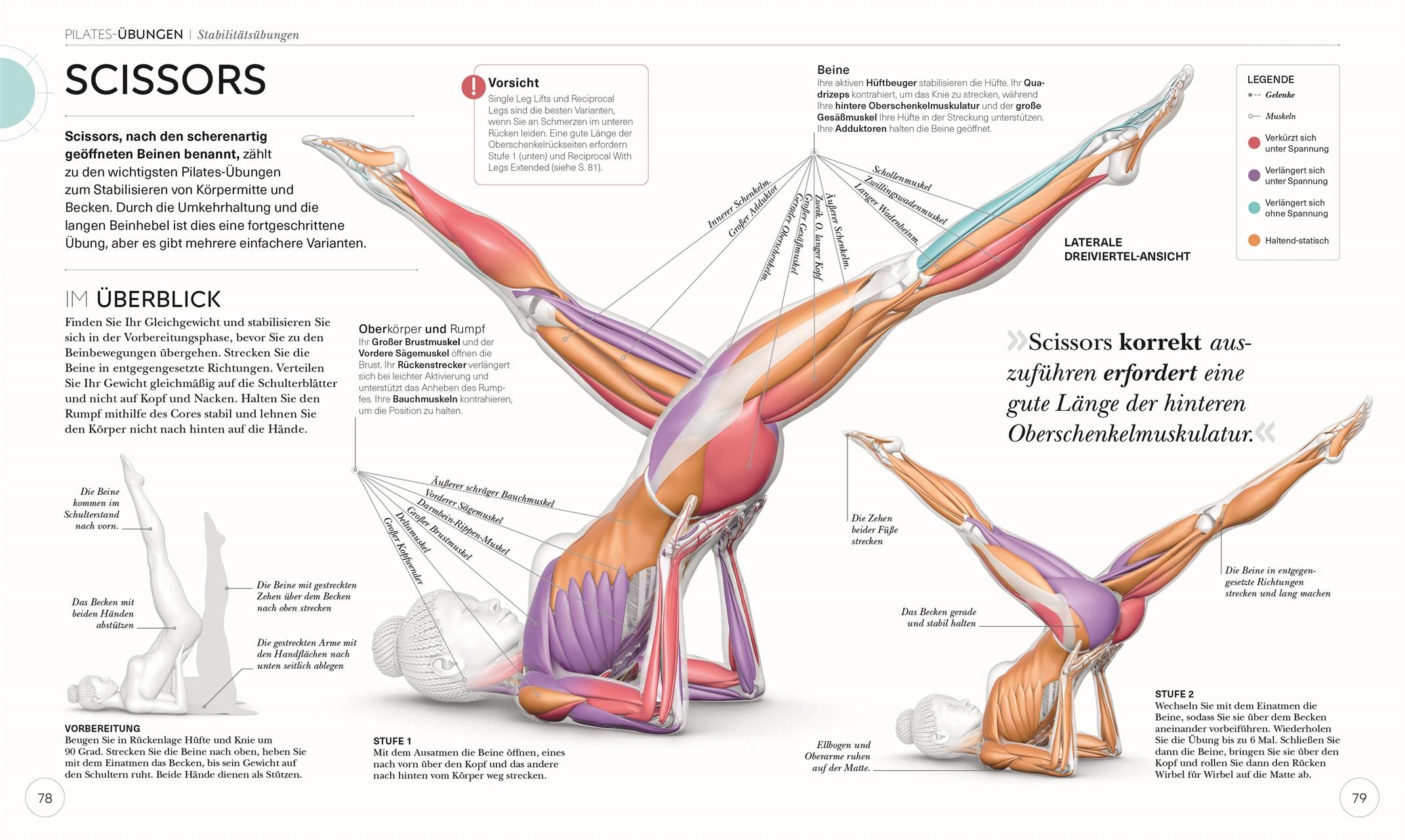 Bild: 9783831046300 | Pilates - Die Anatomie verstehen | Tracy Ward | Taschenbuch | 224 S.