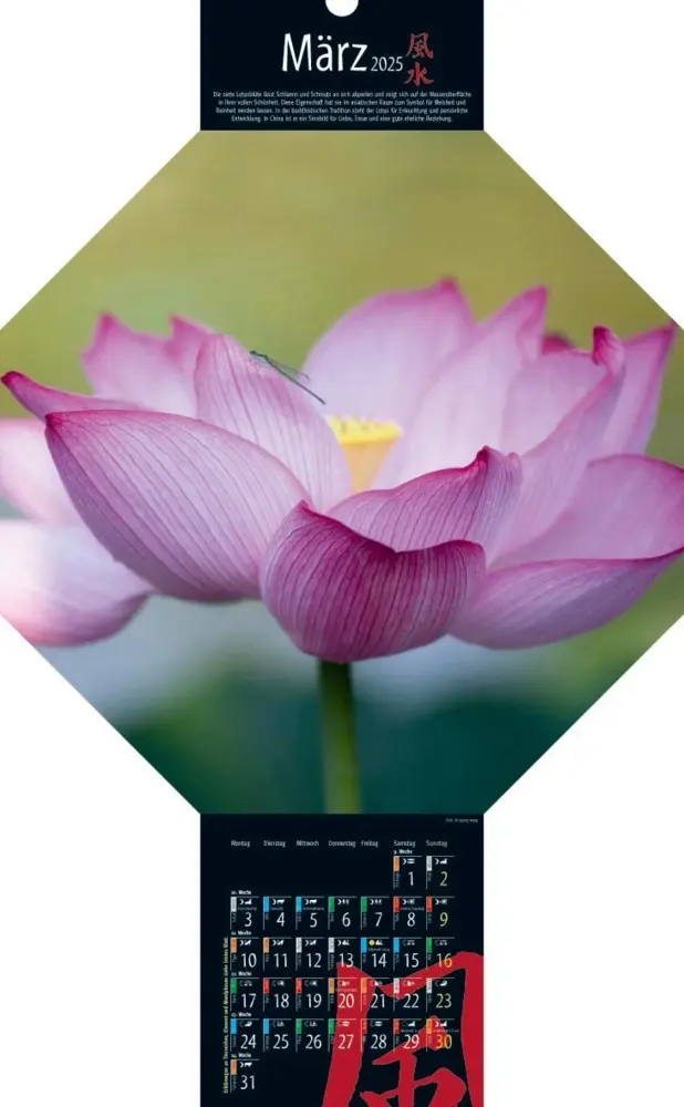 Bild: 9783948276300 | Feng-Shui-Kalender 2025 | Kalender | Deutsch | 2025 | Vision Creativ