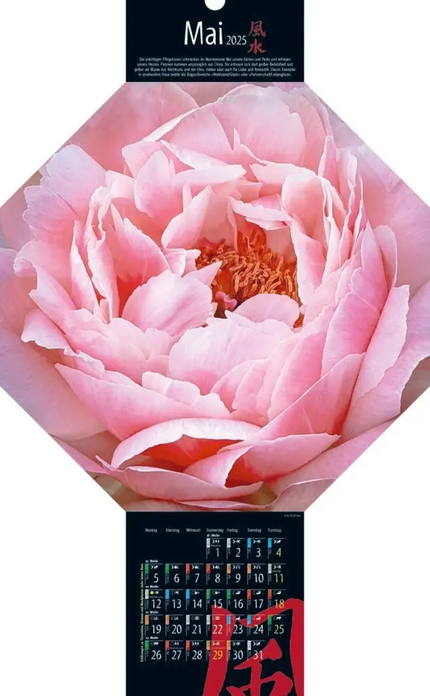 Bild: 9783948276300 | Feng-Shui-Kalender 2025 | Kalender | Deutsch | 2025 | Vision Creativ