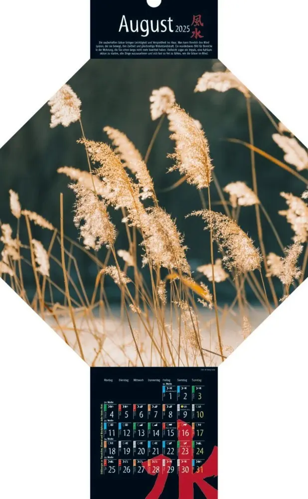 Bild: 9783948276300 | Feng-Shui-Kalender 2025 | Kalender | Deutsch | 2025 | Vision Creativ