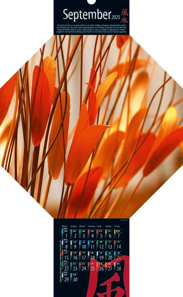 Bild: 9783948276300 | Feng-Shui-Kalender 2025 | Kalender | Deutsch | 2025 | Vision Creativ