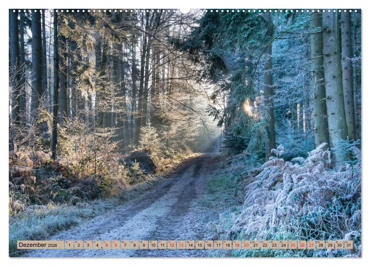Bild: 9783457676400 | Freiburg Regio (hochwertiger Premium Wandkalender 2026 DIN A2...