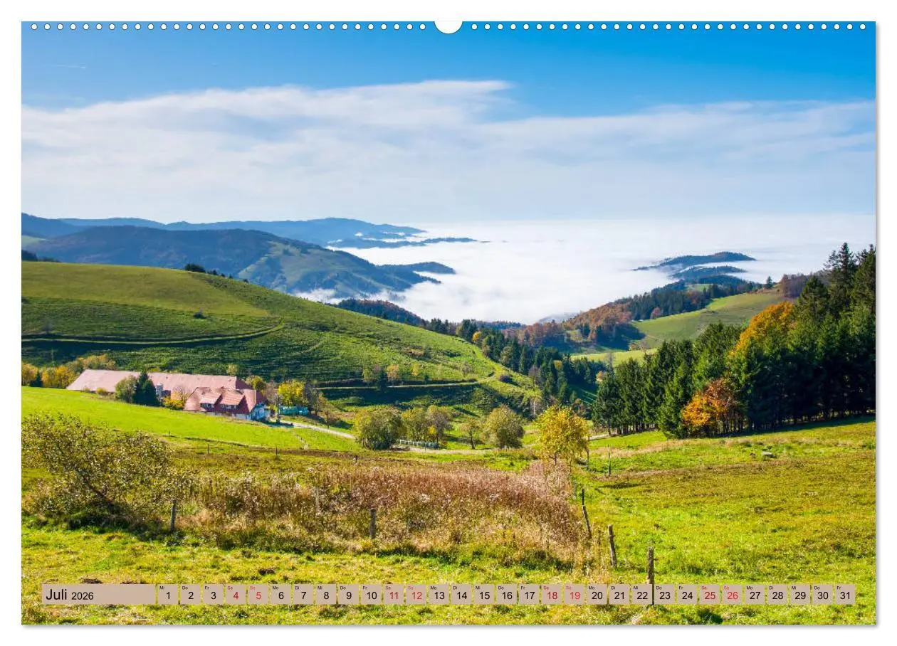Bild: 9783457676400 | Freiburg Regio (hochwertiger Premium Wandkalender 2026 DIN A2...