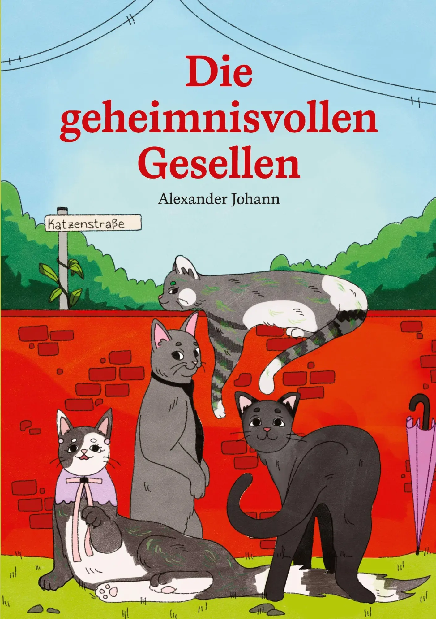 Cover: 9783910236400 | Die geheimnisvollen Gesellen | Alexander Johann | Taschenbuch | 136 S.