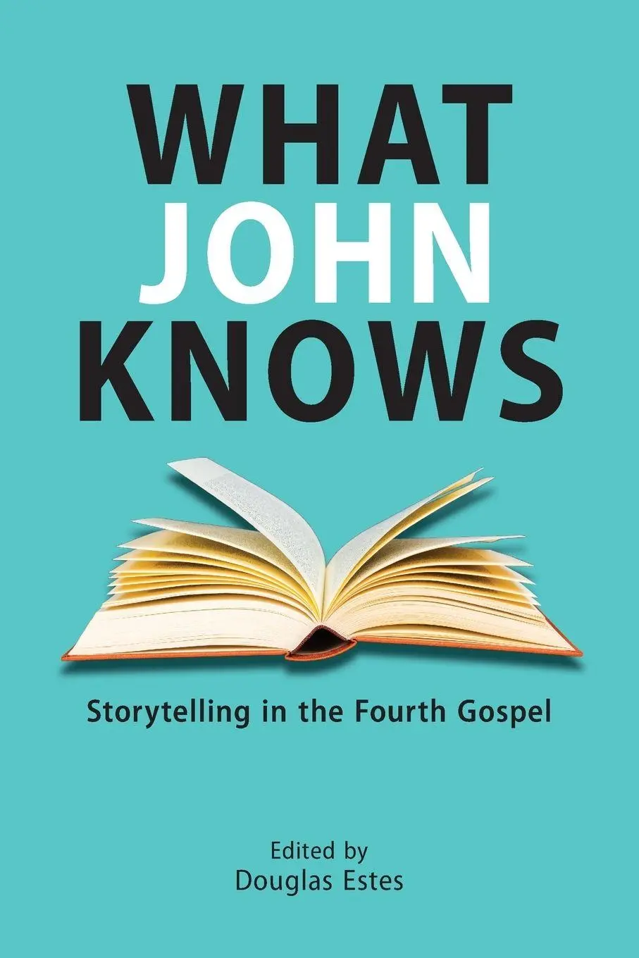 Cover: 9781628376500 | What John Knows | Storytelling in the Fourth Gospel | Douglas Estes
