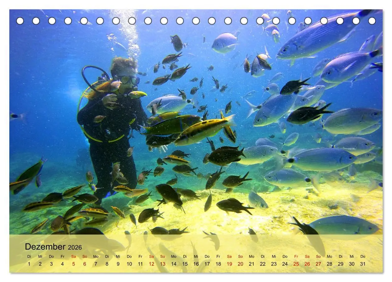 Bild: 9783457596500 | Erlebnis Tauchen - faszinierende Unterwasserwelt (Tischkalender...