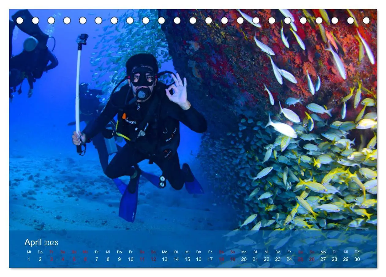 Bild: 9783457596500 | Erlebnis Tauchen - faszinierende Unterwasserwelt (Tischkalender...