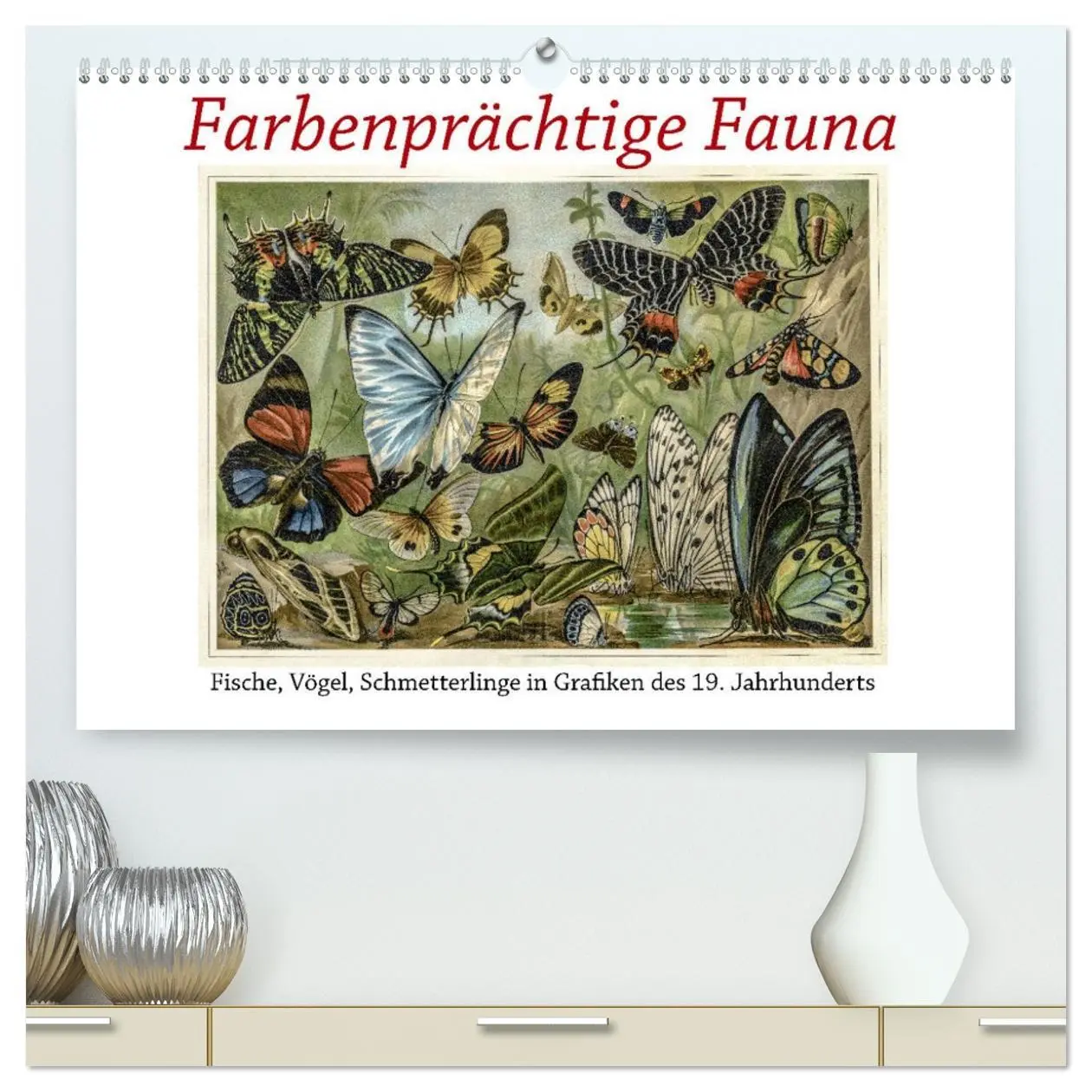Cover: 9783457726600 | Farbenprächtige Fauna. Fische, Vögel, Schmetterlinge in Grafiken...