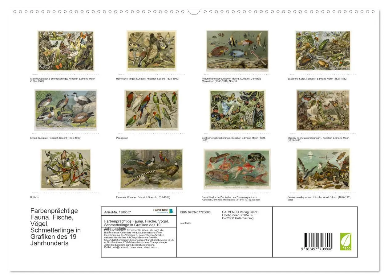 Bild: 9783457726600 | Farbenprächtige Fauna. Fische, Vögel, Schmetterlinge in Grafiken...