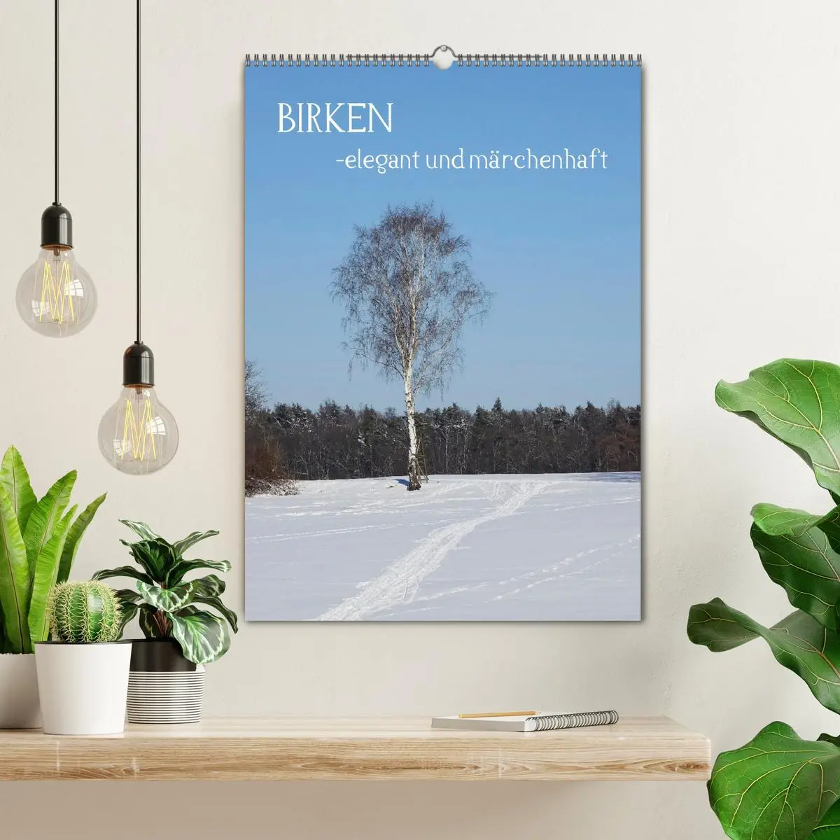 Bild: 9783516366600 | Birken - elegant und märchenhaft (Wandkalender 2026 DIN A2 hoch),...