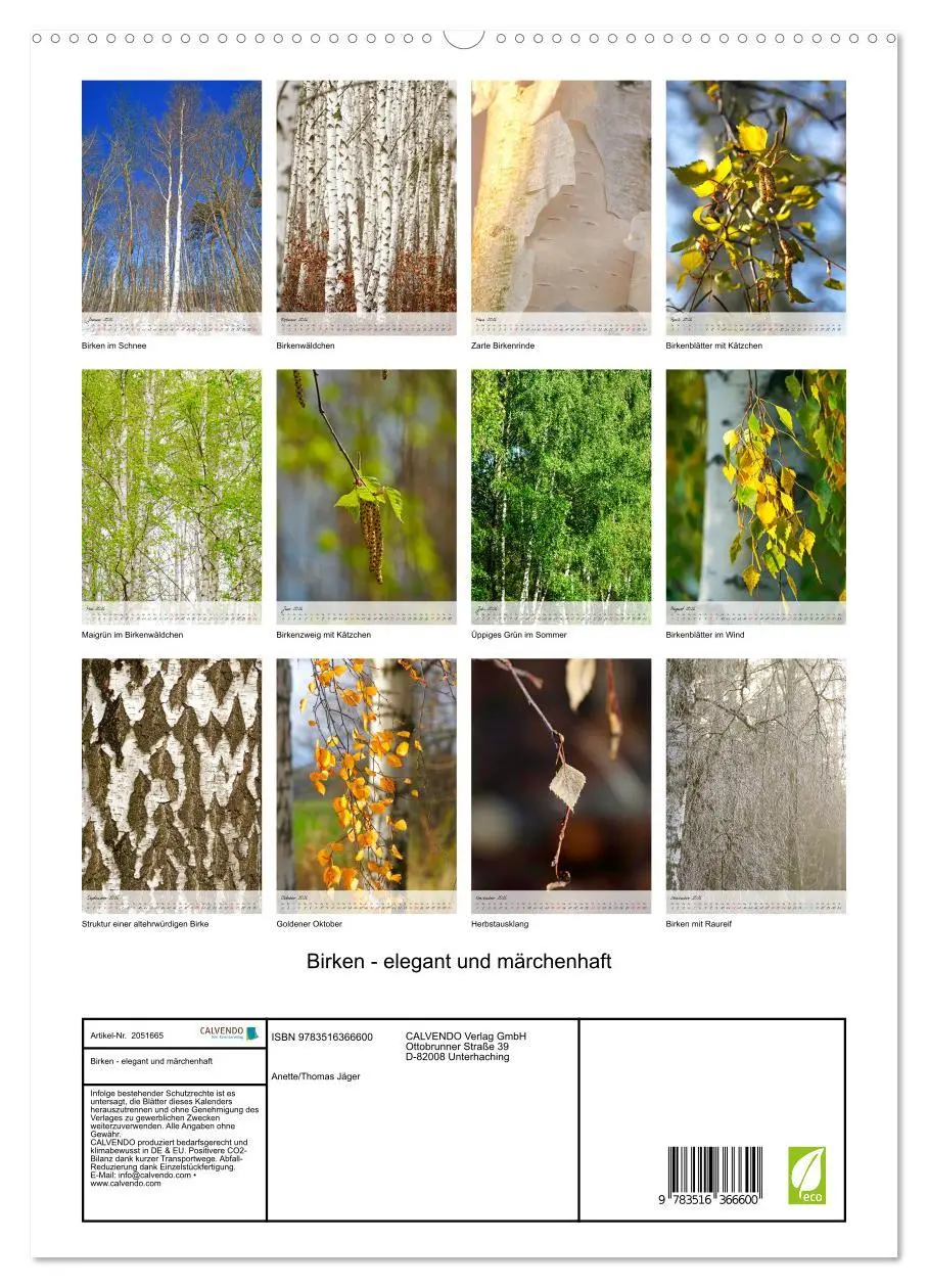 Bild: 9783516366600 | Birken - elegant und märchenhaft (Wandkalender 2026 DIN A2 hoch),...