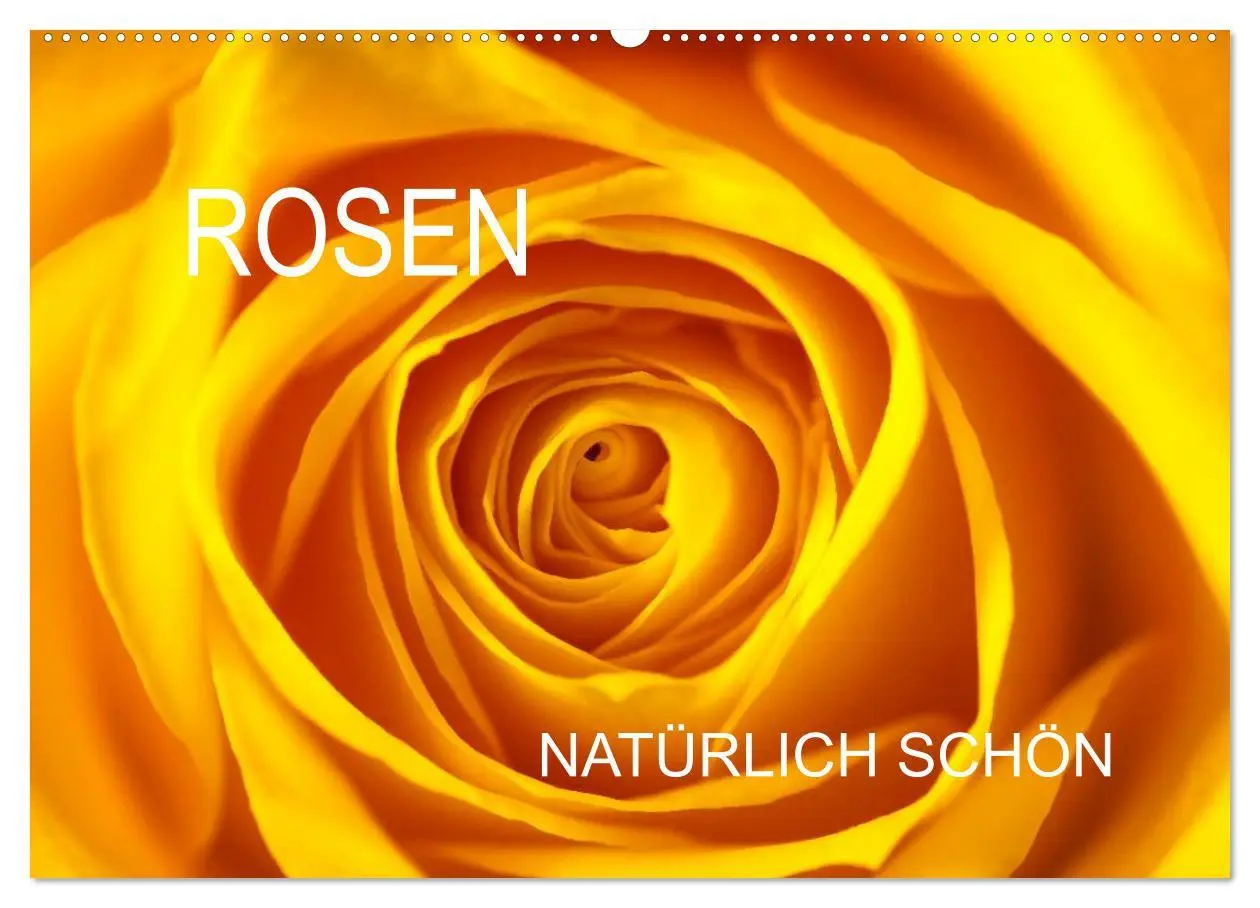 Cover: 9783516116700 | Rosen natürlich schön (Wandkalender 2026 DIN A2 quer), CALVENDO...