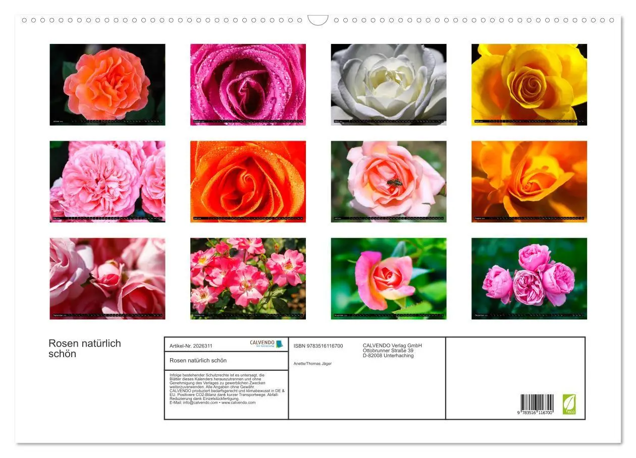 Bild: 9783516116700 | Rosen natürlich schön (Wandkalender 2026 DIN A2 quer), CALVENDO...