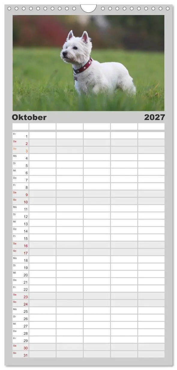 Bild: 9783594336700 | Familienplaner 2027 - West Highland White Terrier - Selbstbewustes...