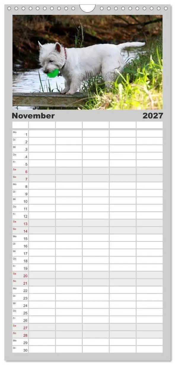 Bild: 9783594336700 | Familienplaner 2027 - West Highland White Terrier - Selbstbewustes...