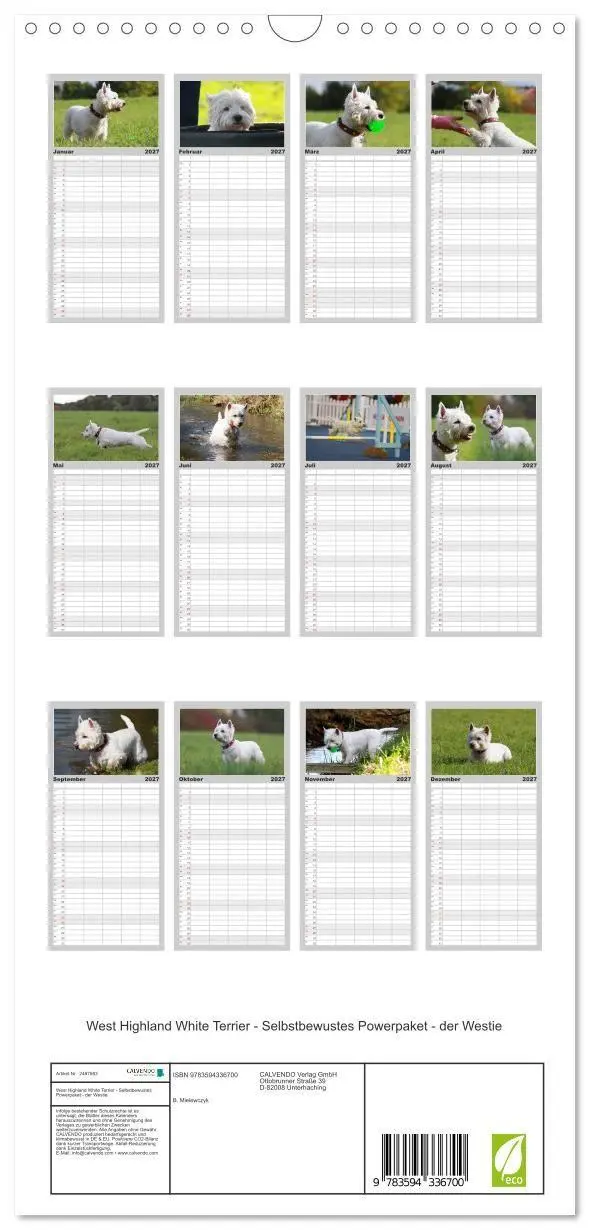 Bild: 9783594336700 | Familienplaner 2027 - West Highland White Terrier - Selbstbewustes...