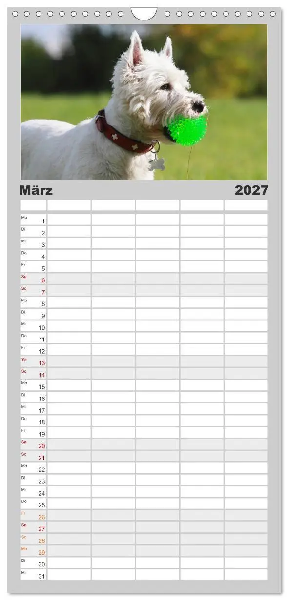 Bild: 9783594336700 | Familienplaner 2027 - West Highland White Terrier - Selbstbewustes...