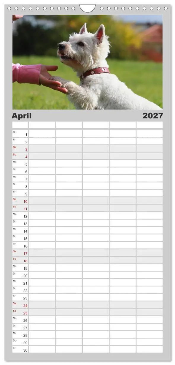 Bild: 9783594336700 | Familienplaner 2027 - West Highland White Terrier - Selbstbewustes...