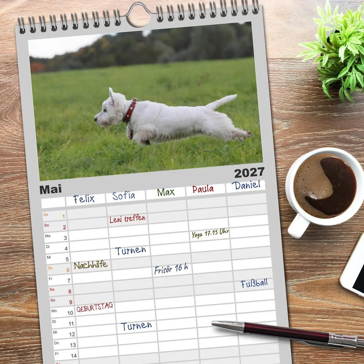 Bild: 9783594336700 | Familienplaner 2027 - West Highland White Terrier - Selbstbewustes...