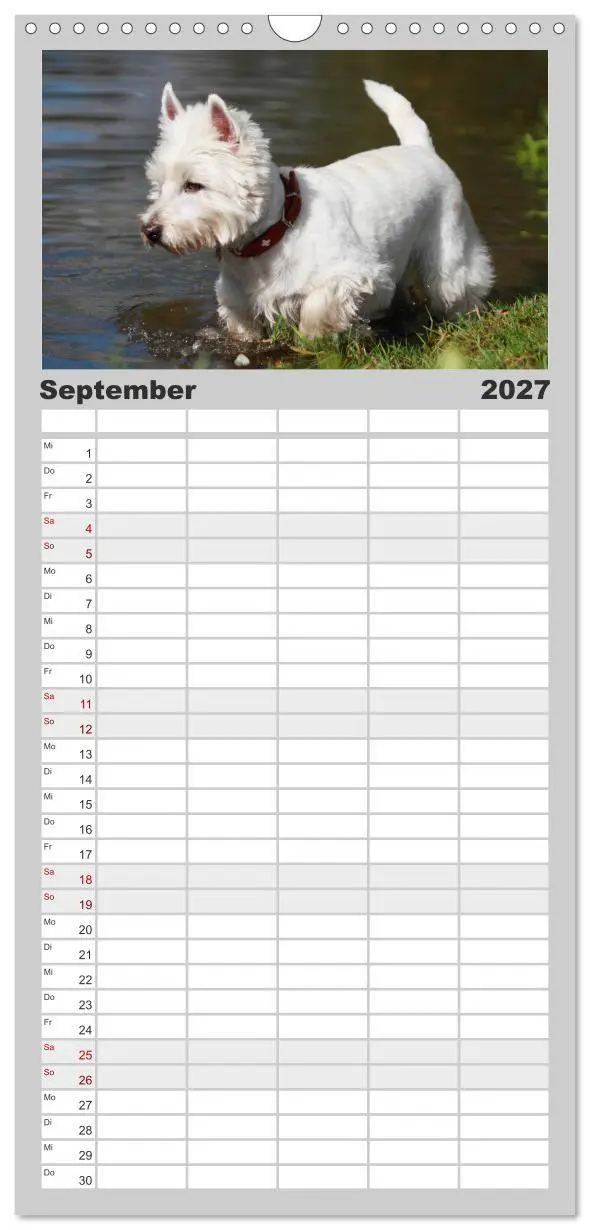 Bild: 9783594336700 | Familienplaner 2027 - West Highland White Terrier - Selbstbewustes...