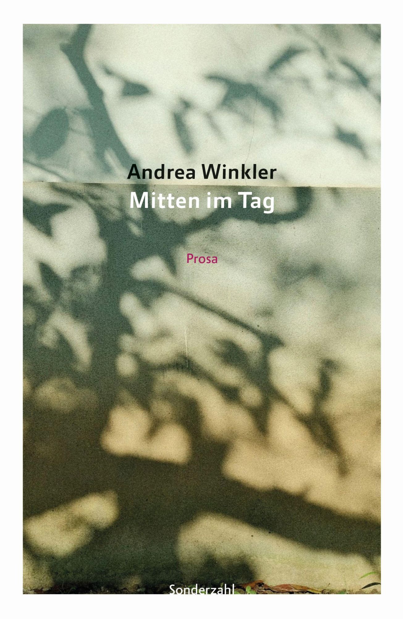Cover: 9783854496700 | Mitten im Tag | Prosa | Andrea Winkler | Taschenbuch | Deutsch | 2025