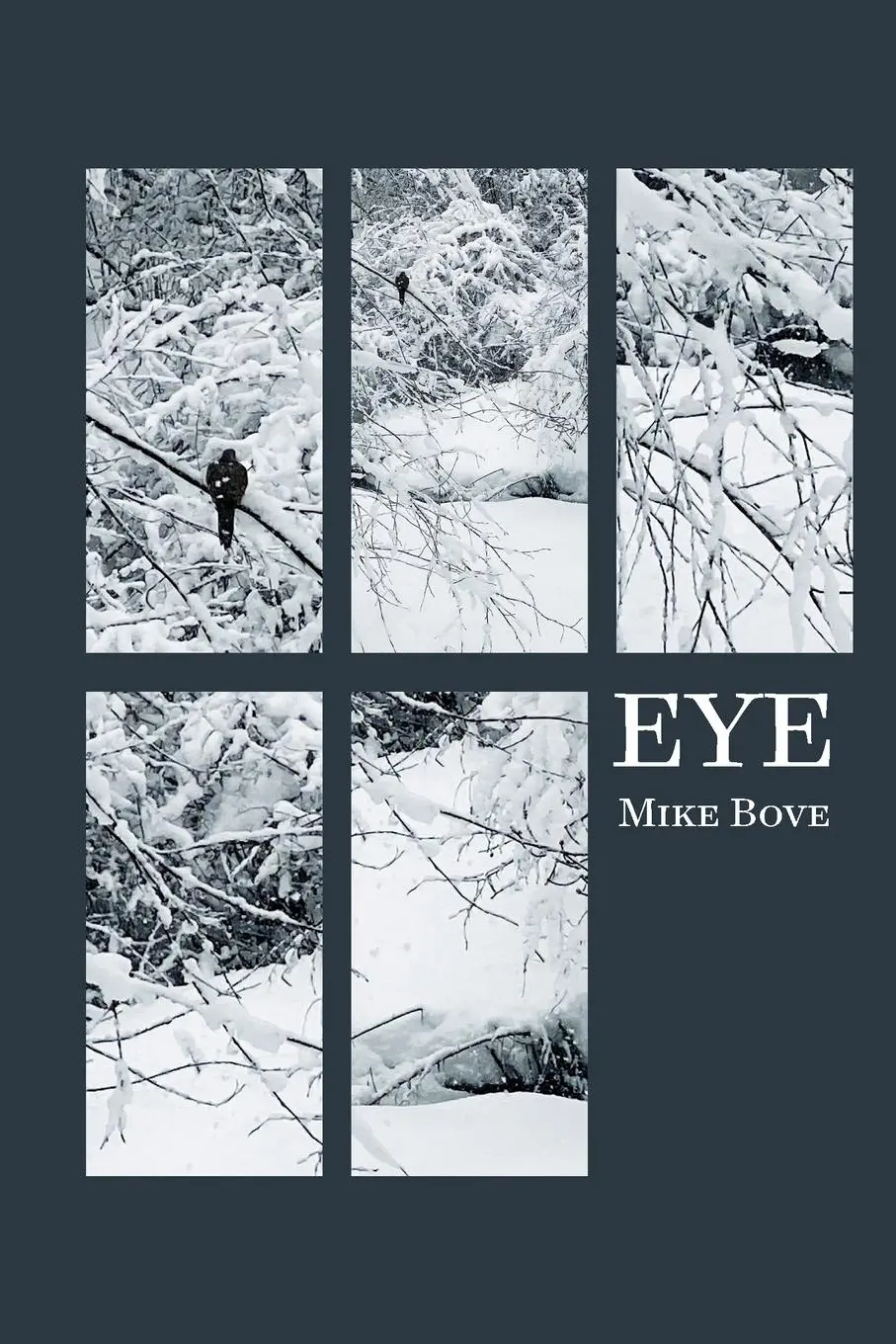 Cover: 9781959556800 | Eye | Mike Bove | Taschenbuch | Englisch | 2023 | Spuyten Duyvil