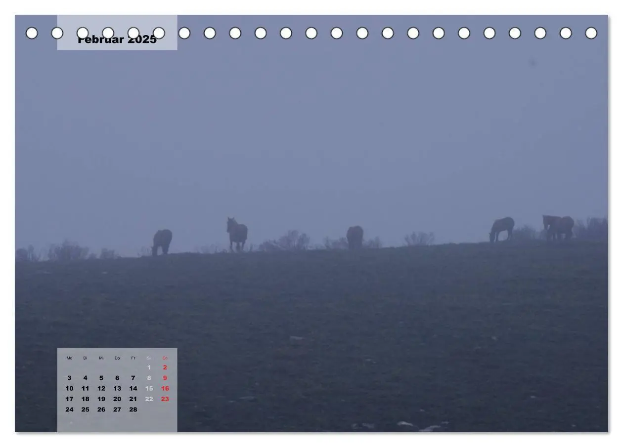 Bild: 9783435476800 | Nordportugal - Heimat der letzten wilden Pferde (Tischkalender 2025...