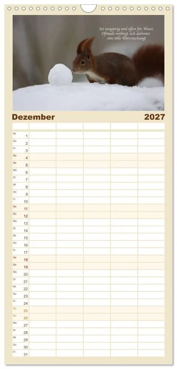 Bild: 9783594326800 | Familienplaner 2027 - Tipps von Eichhörnchen an...