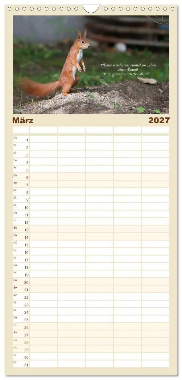 Bild: 9783594326800 | Familienplaner 2027 - Tipps von Eichhörnchen an...
