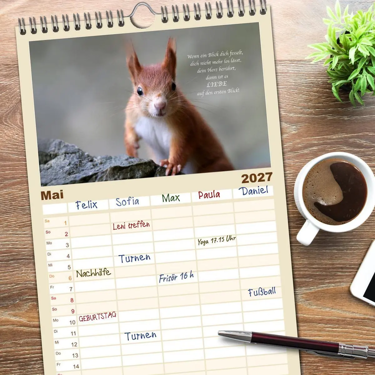 Bild: 9783594326800 | Familienplaner 2027 - Tipps von Eichhörnchen an...