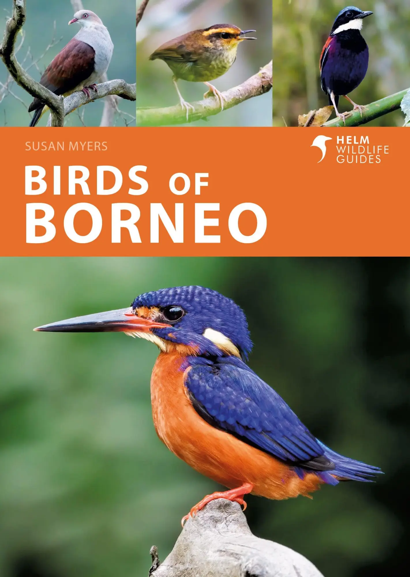 Cover: 9781472986900 | Birds of Borneo | Susan Myers | Taschenbuch | Kartoniert / Broschiert
