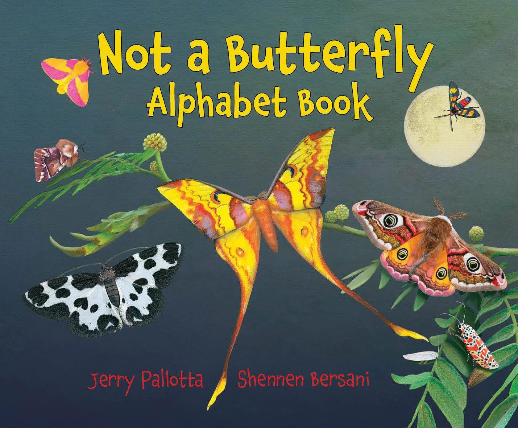 Cover: 9781580896900 | Not a Butterfly Alphabet Book | Jerry Pallotta | Taschenbuch | 2019