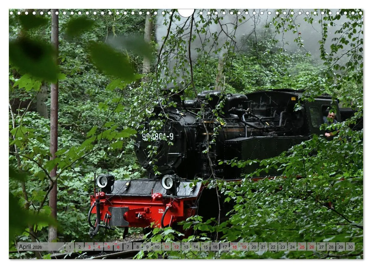 Bild: 9783457626900 | Mit Dampf durch die Natur Rügens (Wandkalender 2026 DIN A3 quer),...